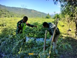 Peran Babinsa Dalam Meningkatkan Ketahanan Pangan