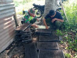 Wujudkan Ketahanan Pangan, Babinsa Dampingi Penyemaian Bibit Cabai Sebagai Tanaman Tumpang Sari