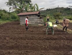 Babinsa Bantu warga Buka Lahan Kosong Untuk Ditanami Tanaman Bawang Merah.