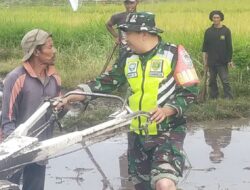 Dukung Ketahanan Pangan, Babinsa Koramil 03/ TG Turun Ke Sawah