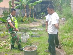 Komsos Bersama Warga, Babinsa Ajak Masyarakat Manfaatkan Pekarangan Rumah