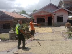 Wujud Kepedulian Babinsa Pada Warga, Bantu Penjemuran Kopi