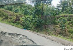 Jalan Simpang Lukup Pante Raya Rusak , Warga Minta Perbaikan.