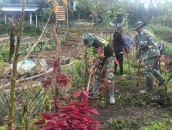 Babinsa Koramil 08/SN Laksanakan Kegiatan Bakti TNI di Desa Pilar