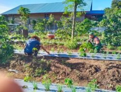 Maksimalkan Pertumbuhan Tanaman Cabai, Babinsa Bantu Petani Pembersihan Gulma