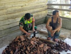 Peduli Kesulitan Warga, Babinsa Bantu Warganya Belah kayu Bakar
