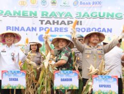 Polres Grobogan Sukses Gelar Panen Raya Jagung di Lahan 274 Hektare