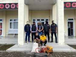 Polisi Bergerak Cepat, Tangkap Pelaku Pencurian Hanya Dalam Waktu 2 Jam