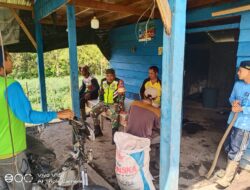 Sambangi Petani Di Kebun, Babinsa Berikan Motivasi