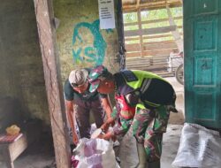 Babinsa Komsos Dan Memantau Kualitas Beras Di Pengilingan Padi