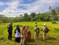 Anggota Koramil 01/Lut Tawar dan PPL Tinjau Lokasi Panen Raya di Timang Gading