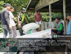 Koramil 08/SN Bersama Bulog Takengon Serap 1.393 Kg Gabah Petani di Arul Kumer