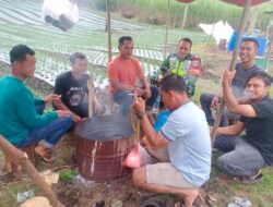Babinsa Koramil 02/WPS, Komsos Dengan Petani Di Lahan Pertanian