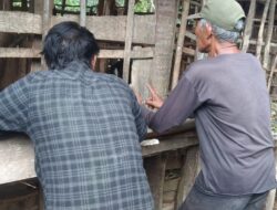 Mulai Terkuak, Program Ketahanan Pangan Tiyuh Tirta Kencana Diduga Kuat Mengarah Dugaan Mark Up Anggaran