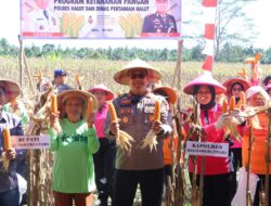 Polda Maluku Utara Panen Raya Jagung Dukung Progam ASTA CITA Untuk Ketahanan Pangan Nasional Gunakan Dana Desa