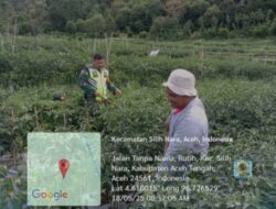 Babinsa Koramil 08/Silih Nara Bantu Warga Pupuk Cabe di Desa Rutih