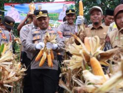 Kapolres Bener Meriah Hadiri Panen Raya Jagung Dukung Ketahanan Pangan Nasional