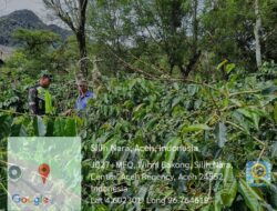 Babinsa Dorong Ketahanan Pangan di Kampung Wihnibakong