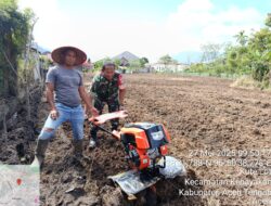 Babinsa Koramil 01/Lut tawar Bantu warga Membuka lahan
