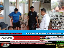 Satu lagi Pengedar Obat Keras Jenis Trihexypenidyl (Heximer) Obat Kuning diringkus.