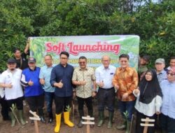 Wakil Wali Kota Langsa Laksanakan Penanaman Manggrove Bersama
