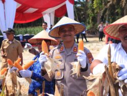 Kapolres Kampar Panen Raya Jagung: Wujud Dukungan Nyata untuk Ketahanan Pangan Nasional