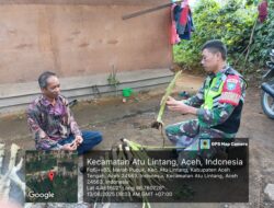 Babinsa Koramil 07/Atu Lintang Ajak Warga Kembangkan Budidaya Talas Lewat Komsos