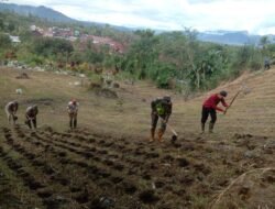 Jangan Biarkan Menjadi Lahan Tidur, Babinsa Motivasi Petani Giat Bercocok Tanam