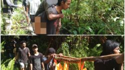 TNI – Polri Berduka, Satgas Ops Damai Cartenz Bersama TNI Sigap Dalami Gugurnya Anggota Kodim 1715/Yahukimo dan Pembunuhan 2 Warga Sipil, Diduga Ulah KKB