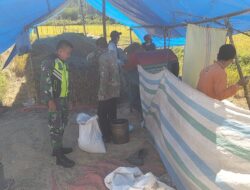 Kegembiraan Petani Kute Keramil, Ajak Babinsa Panen Raya Padi Melimpah