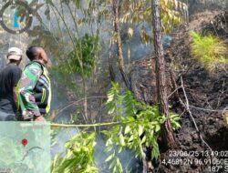 Babinsa Koramil 05/Linge dan Masyarakat Berjibaku Padamkan Karhutla di Kute Rayang