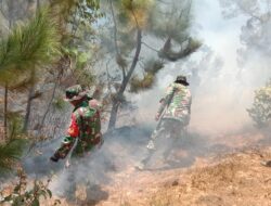 Lahan Terbakar, Babinsa Koramil 05/Linge Bersama Warga, Berjibaku Padamkan Api