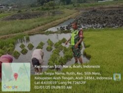 Babinsa Koramil 08/SN Dampingi Warga Tanam Padi 