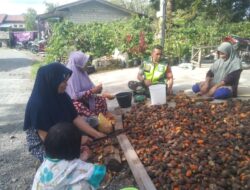 Babinsa Karang Rejo Koramil 06/Bukit Bantu Warga Mengupas Pinang