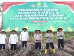 Sukseskan Ketahanan Pangan Nasional, Polda Kalteng dan Polresta Palangka Raya Tanaman Jagung di Rakumpit