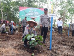 Dukung Ketahanan Pangan Nasional, Kapolda Kalteng Tanam Jagung Kuartal III di Pulang Pisau
