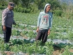 Polsek di Bener Meriah Aktif Dorong Pemanfaatan Pekarangan Warga untuk Ketahanan Pangan Nasional