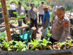 Dukung Ketahanan Pangan, Polsek Bebesen Tinjau Perkembangan Lahan Pekarangan Bergizi