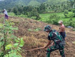 Dari Lahan Terlantar Menjadi Ladang Harapan: Kolaborasi TNI dan Warga Turuecut Demi Swasembada Pangan