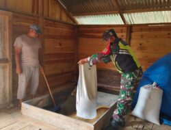Babinsa Koramil 05/Linge Cek Stok Lumbung Beras, Pastikan Ketersediaan Pangan Aman Hingga Panen Berikutnya