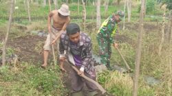 Tingkatkan Ketahanan Pangan Babinsa Koramil 03/TG Bersama Warga Olah Lahan Pertanian