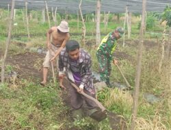 Tingkatkan Ketahanan Pangan Babinsa Koramil 03/TG Bersama Warga Olah Lahan Pertanian