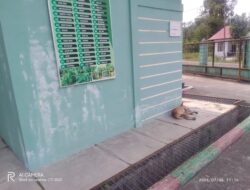 Dua Ekor Anjing Tidur di Komplek Puskesmas Bies, Warga Pertanyakan Pengawasan