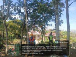 Antisipasi Bahaya, Babinsa dan PLN Bersihkan Cabang Pohon di Sekitar Kabel