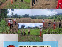 POLRES BITUNG DUKUNG PROGRAM KETAHANAN PANGAN NASIONAL, CEK LANGSUNG LAHAN JAGUNG DI ENAM WILAYAH POLSEK