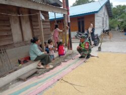 Hasilkan Gabah Berkualitas, Babinsa Dampingi Petani Saat Menjemur Padi