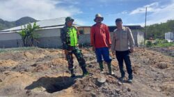 Babinsa Koramil 06/Bukit Bersama PPL Sambangi Petani Cabe Di Desa Binaan