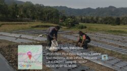 Babinsa Dampingi Petani Rawat Kebun Bawang di Desa Paya Pelu