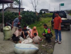 Turun Ke Desa Binaan, Babinsa Dampingi Petani Panen Kopi