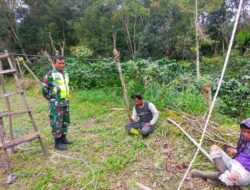 Sambangi Pembibitan Tanaman Durian, Babinsa Berikan Motivasi Dan Semangat